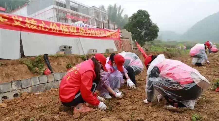 微信图片_2025-12-08_114848_234.jpg 微信图片_2025-12-08_114848_234.jpg