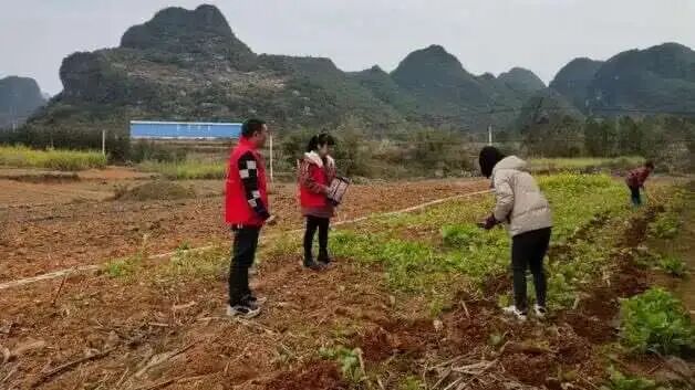 微信图片_2025-12-08_114851_799.jpg 微信图片_2025-12-08_114851_799.jpg