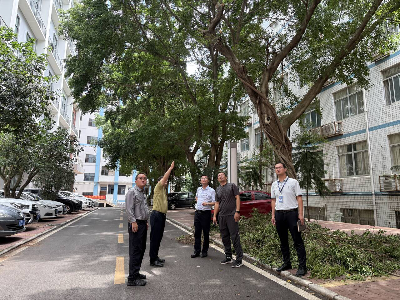 图片1.png 图片1.png