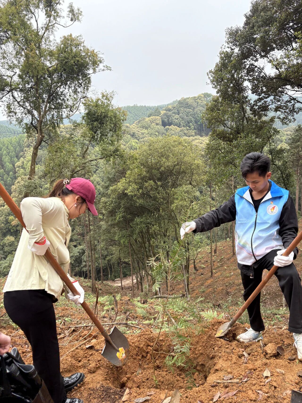 微信图片_2026-03-31_113008_149.jpg 微信图片_2026-03-31_113008_149.jpg