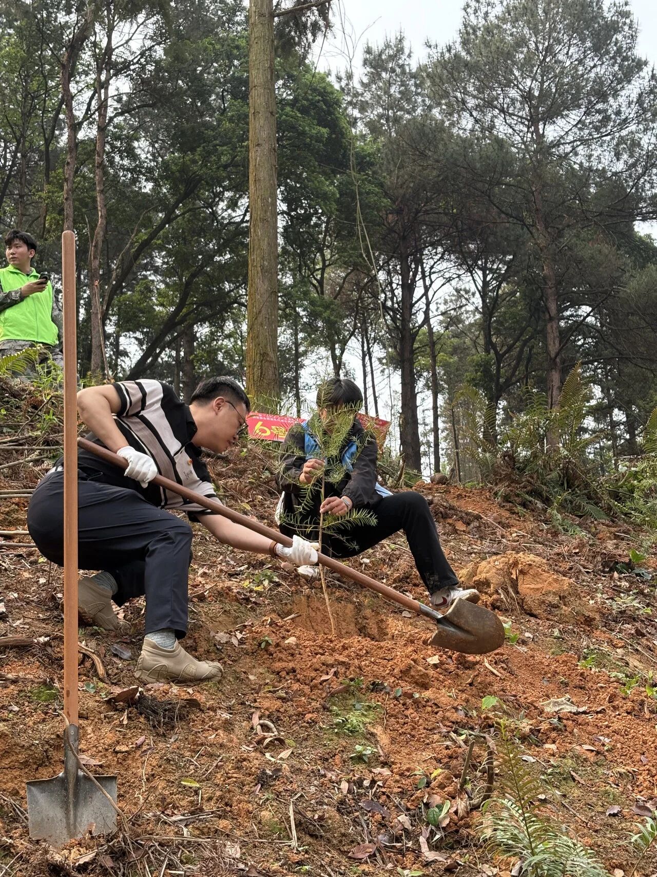 微信图片_2026-03-31_113012_715.jpg 微信图片_2026-03-31_113012_715.jpg