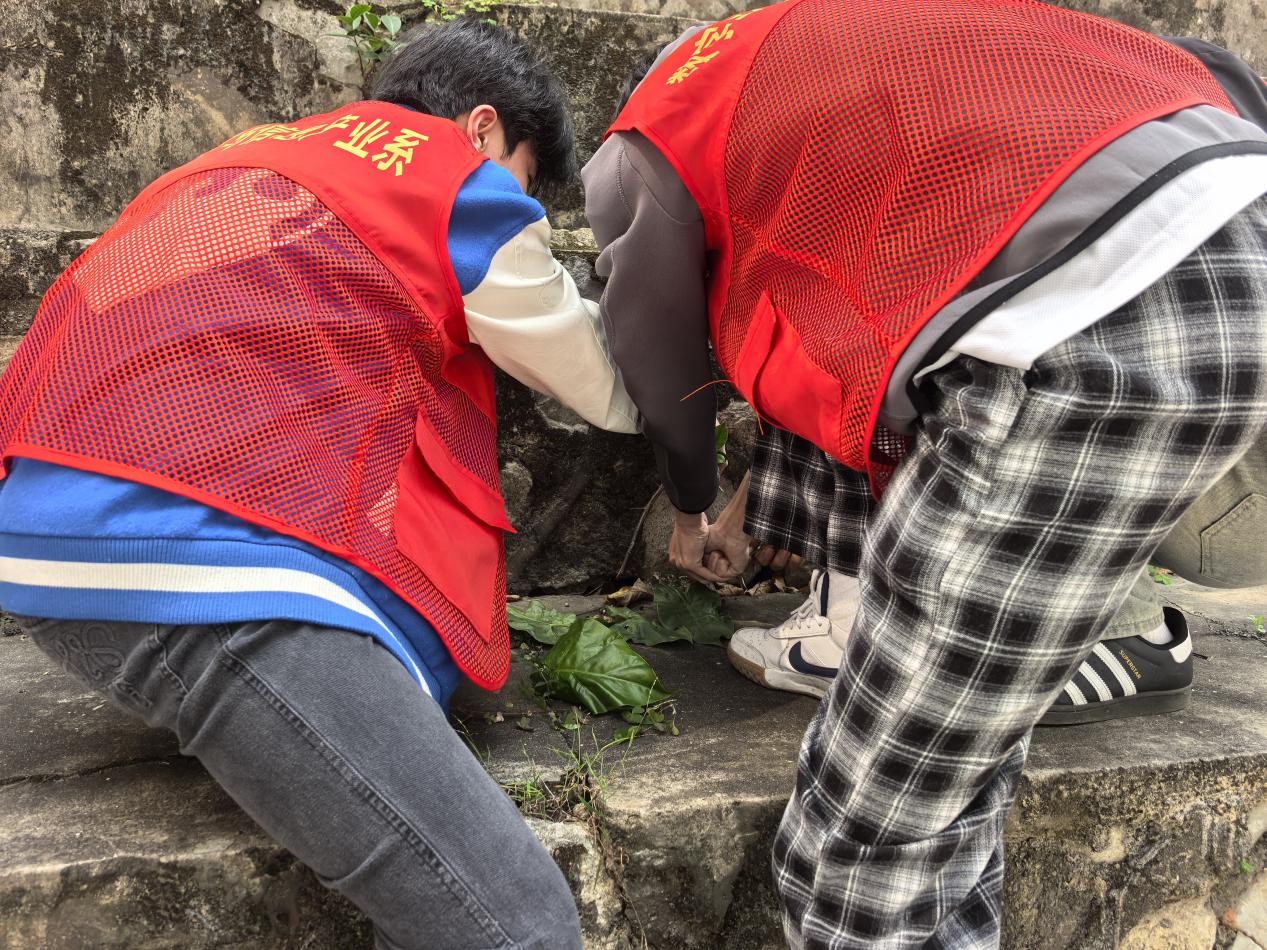 A4D144EFD8D7FE2C1104A4DBF8CD9827