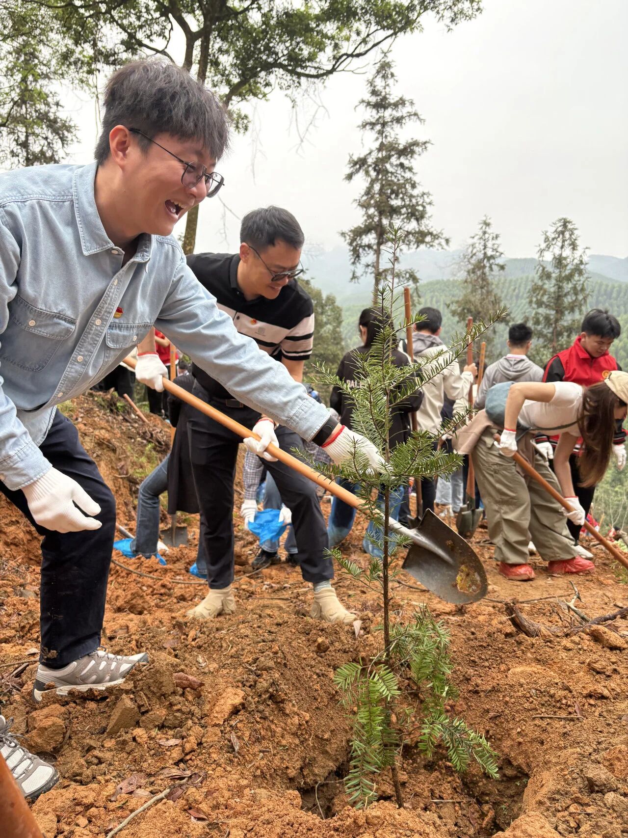 微信图片_2026-03-31_113003_554.jpg 微信图片_2026-03-31_113003_554.jpg